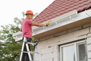 Gutter Cleaning